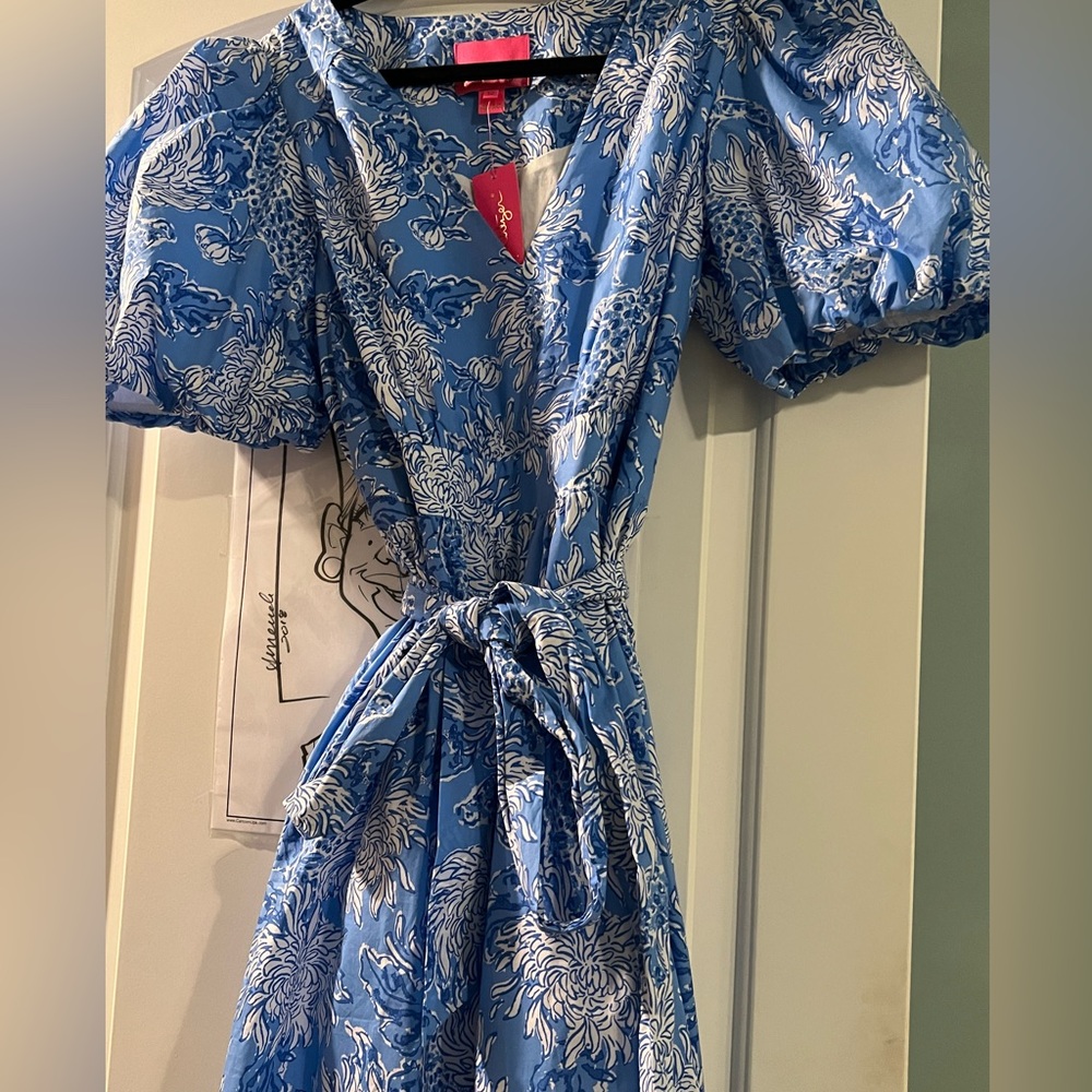 !Beautiful Lilly Pulitzer dress